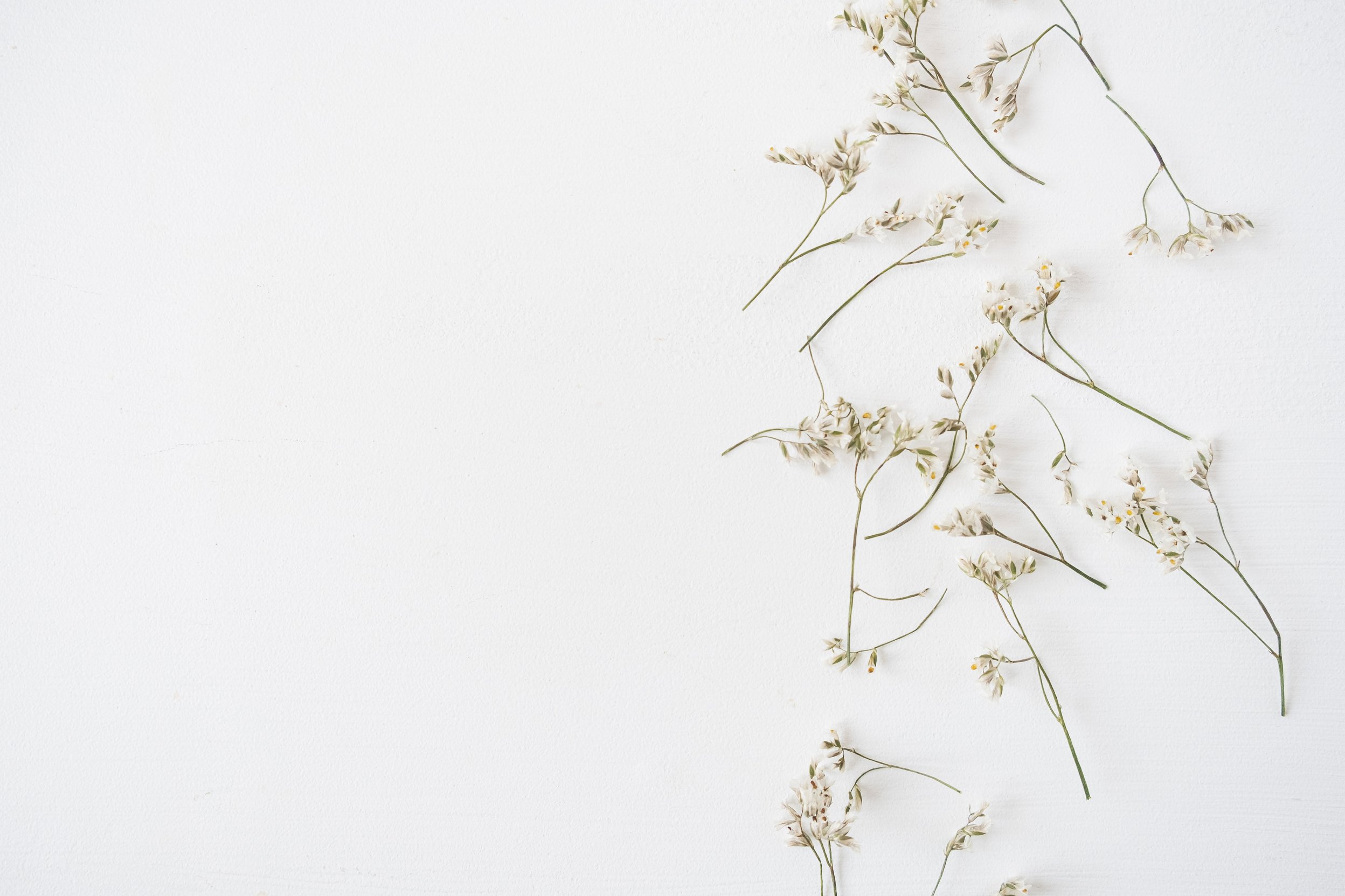 Branches of Flowers Flatlay